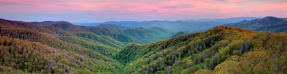 More for body-oriented practitioners